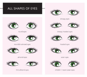 types of eye shapes women