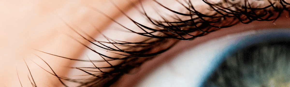 How Are Easy Fanning Lashes Different From Simple Lash Extensions